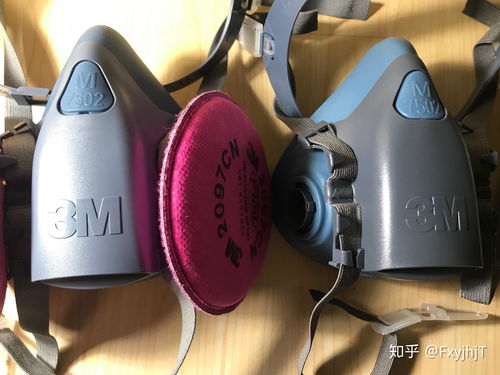 戴防毒面具出行 是恐惧的盾牌，还是生活的笑话？